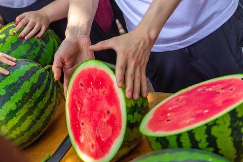 天津学校最新吃瓜爆料,揭秘校园风云事件内幕 第3张 天津学校最新吃瓜爆料,揭秘校园风云事件内幕 第3张